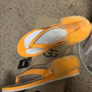 Ugg sandals